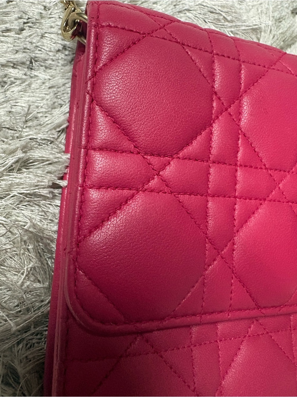 Lady Dior WOC Hot Pink Quilted Leather Chain Crossbody - Picture 9 of 14